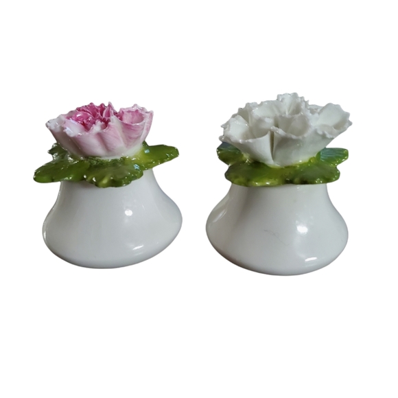 VTG Aynsley Fine Bone China Salt & Pepper Shakers, Pink & White Carnation - Picture 1 of 5